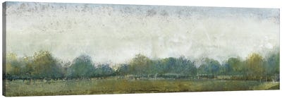 Ethereal Landscape II Canvas Art Print - Tim O'Toole