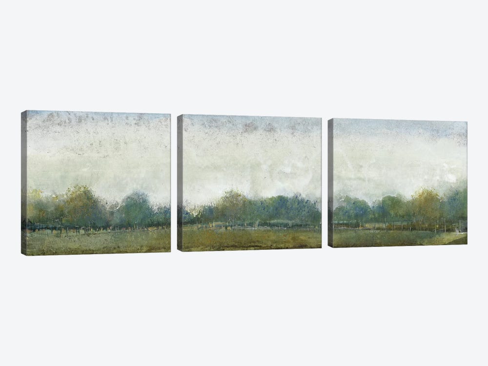 Ethereal Landscape II by Tim OToole 3-piece Canvas Art Print