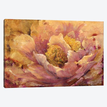 Floral In Bloom I Canvas Print #TOT94} by Tim OToole Canvas Art Print