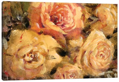 Floral In Bloom II Canvas Art Print - Tim O'Toole