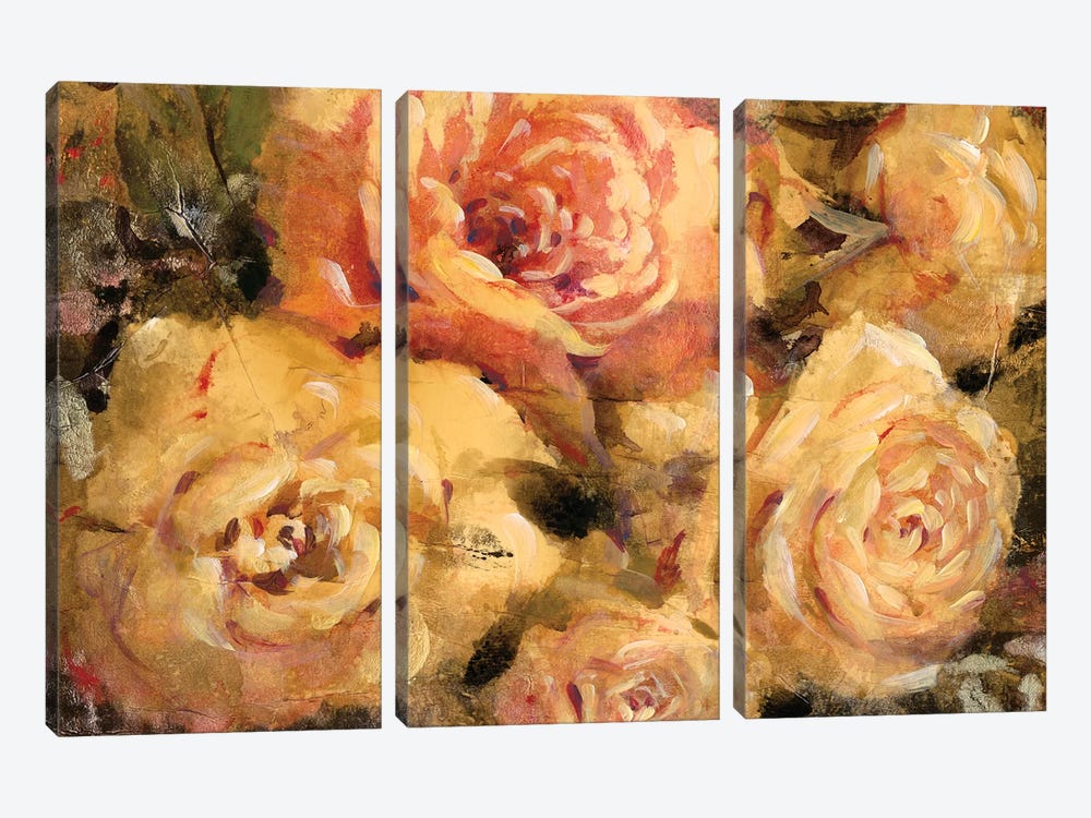 Floral In Bloom II by Tim OToole 3-piece Art Print