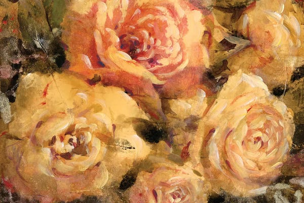Peonies: Floral In Bloom II by Tim O'Toole