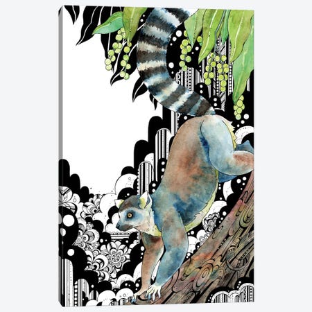Ring-Tailed Lemur Canvas Print #TOZ5} by Taeko Ozaki Canvas Art