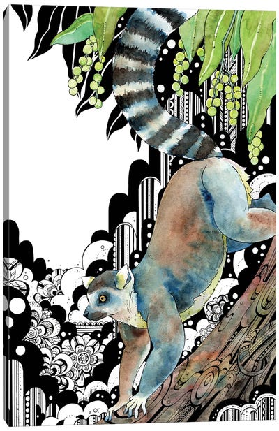 Ring-Tailed Lemur Canvas Art Print - Taeko Ozaki