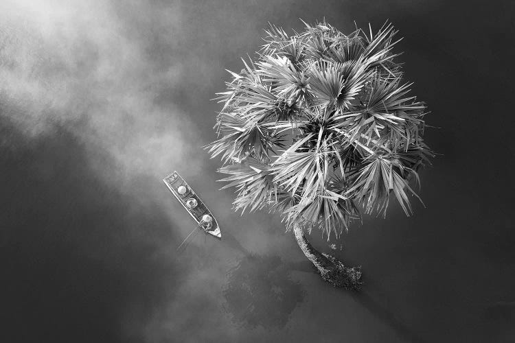 Fishing Alone by Trung Pham wall art