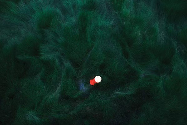 Trung Pham: In The Grass Field by Trung Pham