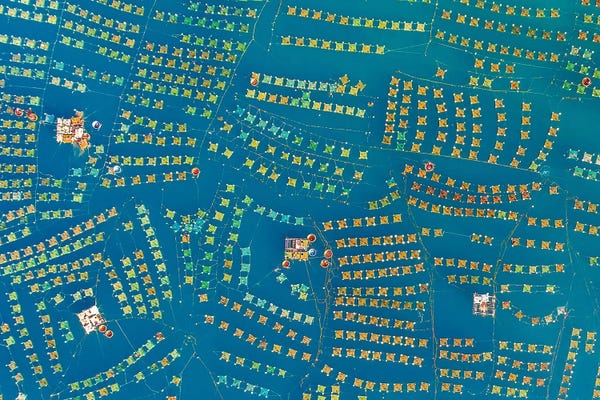 Trung Pham: Lobsters Breeding Village by Trung Pham