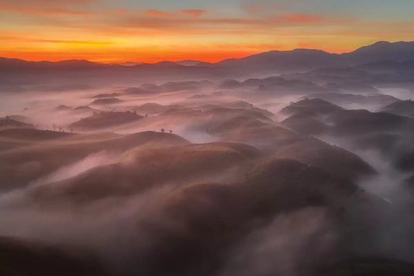Trung Pham: Mist In Highland by Trung Pham