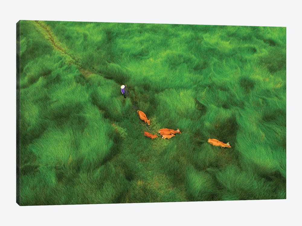 Passing The Grass Field by Trung Pham 1-piece Canvas Art Print