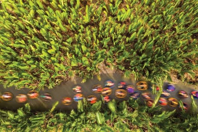 Passing The Nipa Forest by Trung Pham framed canvas print