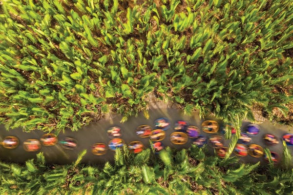 Trung Pham: Passing The Nipa Forest by Trung Pham