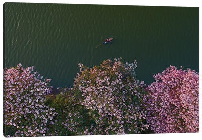 Pink Trumpets Flowers Season Canvas Art Print - Trung Pham