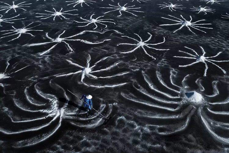 Salt Field