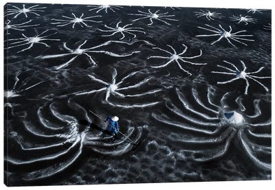 Salt Field Canvas Art Print - Trung Pham