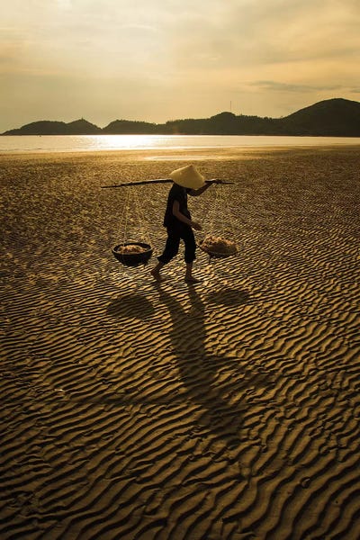 Trung Pham: Shimps Baskets by Trung Pham