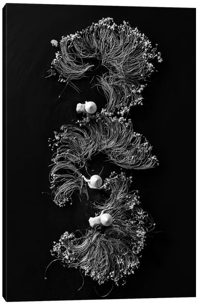 Waterlilies I Canvas Art Print - Asian Culture