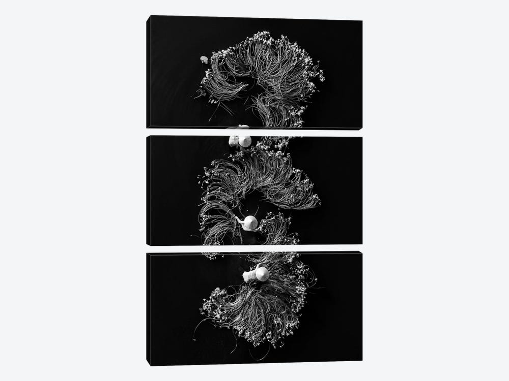Waterlilies I by Trung Pham 3-piece Canvas Art Print