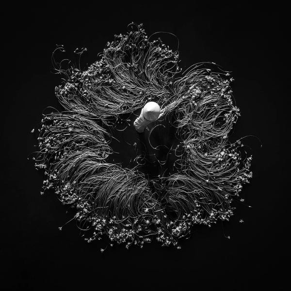 Trung Pham: Waterlilies II by Trung Pham