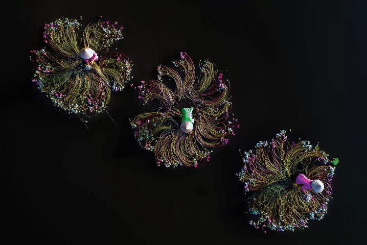 Waterlilies III