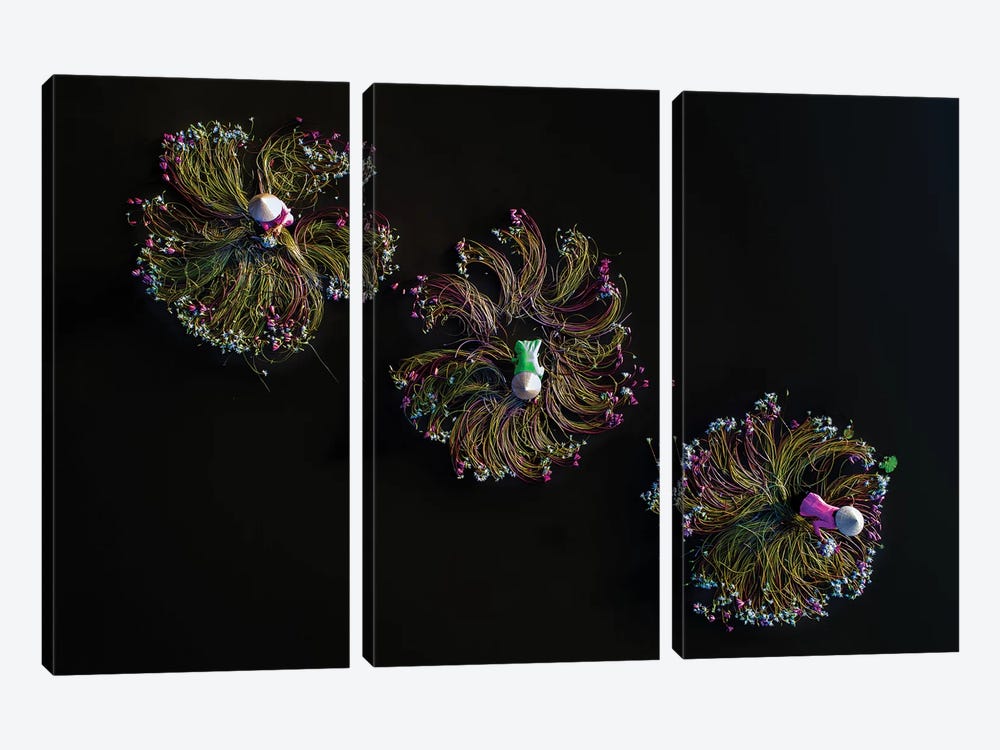 Waterlilies III by Trung Pham 3-piece Canvas Art Print
