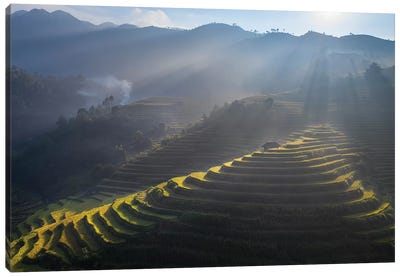 Rice Terrace In Mu Cang Chai Canvas Art Print - Vietnam Art