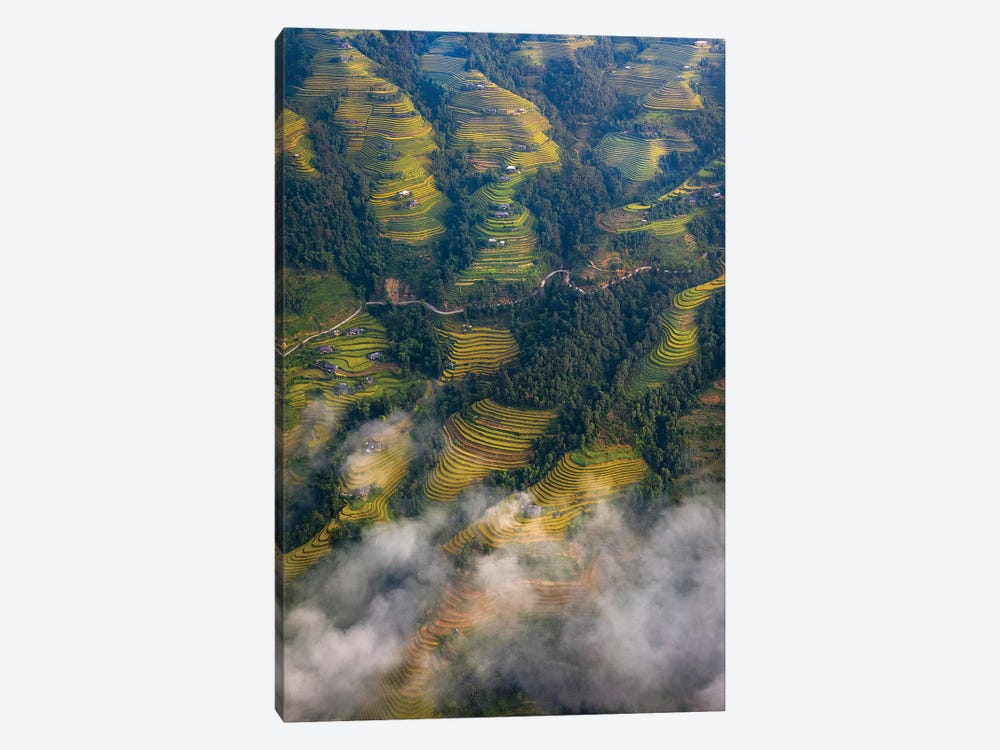 Rice Terrace 3 by Trung Pham 1-piece Canvas Print