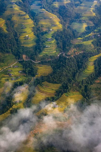 Abstracts In Nature: Rice Terrace 3 by Trung Pham