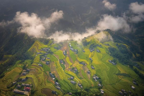 Trung Pham: Rice Terrace In Phung Village by Trung Pham