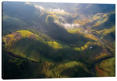 Rice Terrace In Sunshine Canvas Art Print - Trung Pham