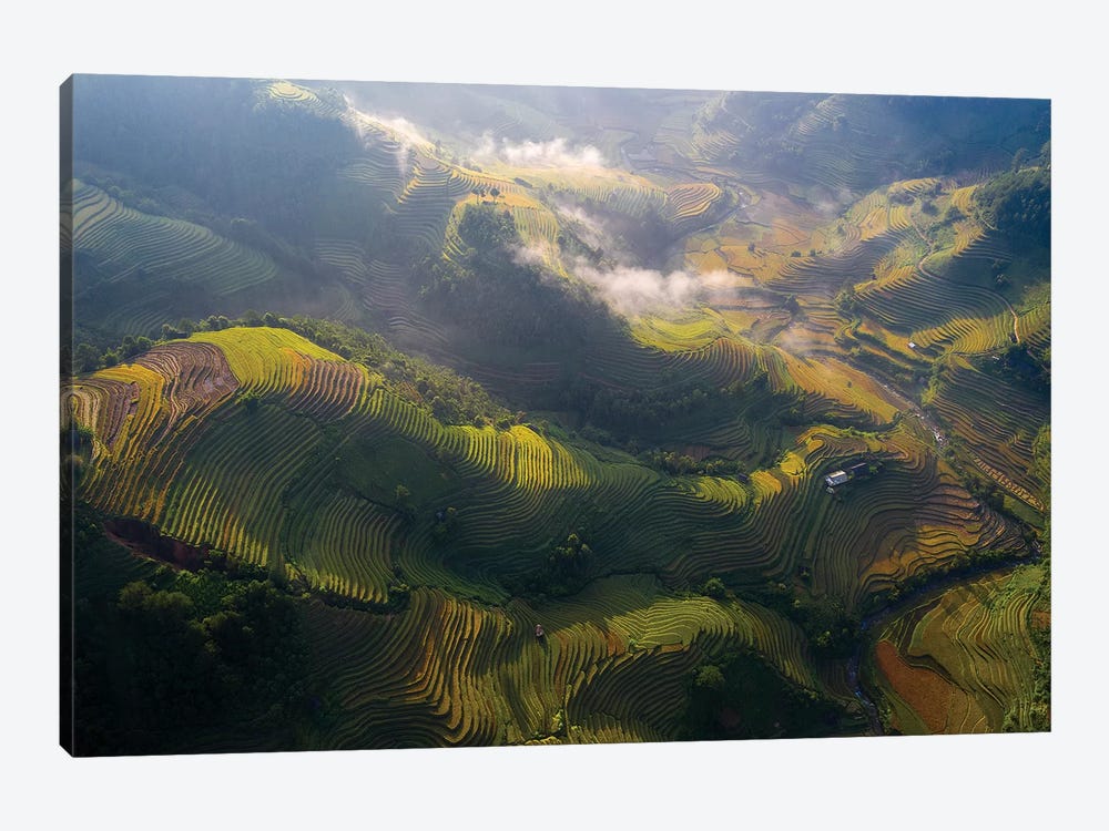 Rice Terrace In Sunshine by Trung Pham 1-piece Canvas Art Print