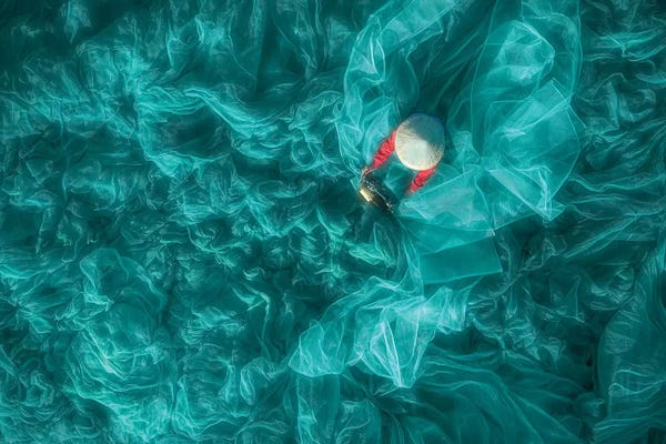 Abstracts In Nature: Sewing Net by Trung Pham