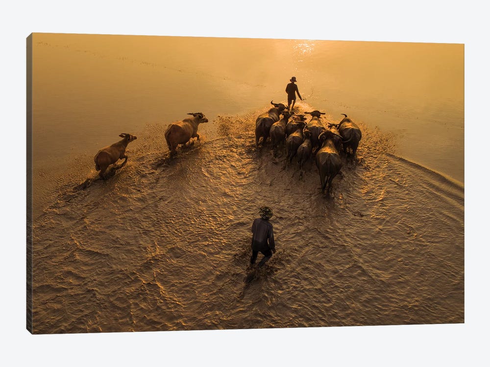 Buffalos Boy V by Trung Pham 1-piece Art Print