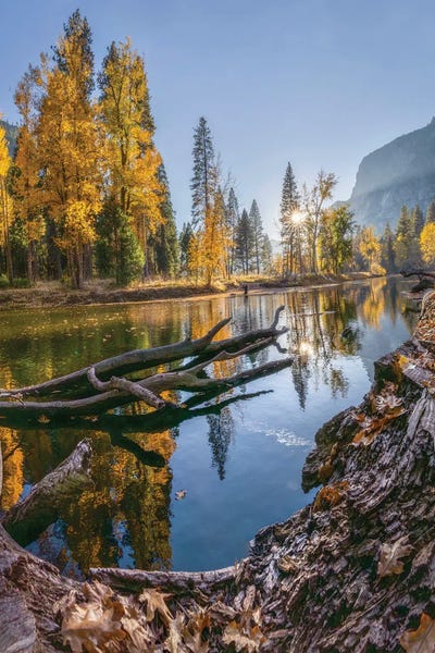 Trung Pham: Fall Foliage In Yosemite Valley by Trung Pham