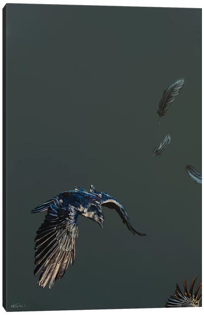 Morrigans Flight Canvas Art Print - Natalie Toplass