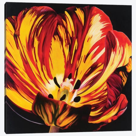 Red & Yellow Tulip Canvas Print #TPL25} by Natalie Toplass Canvas Art Print