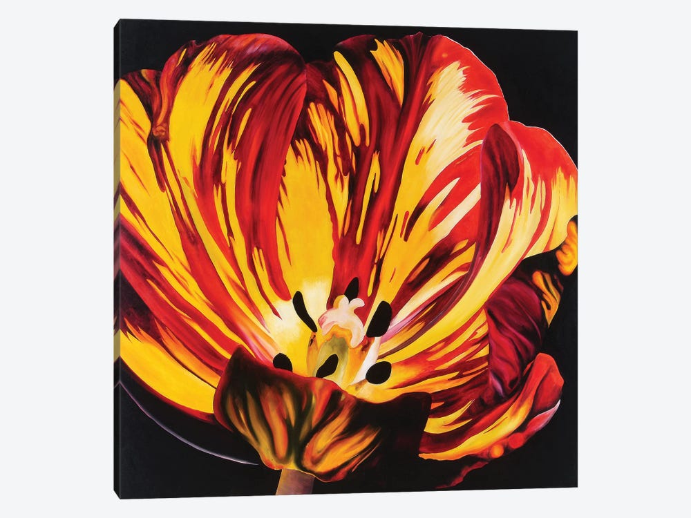 Red & Yellow Tulip by Natalie Toplass 1-piece Canvas Print