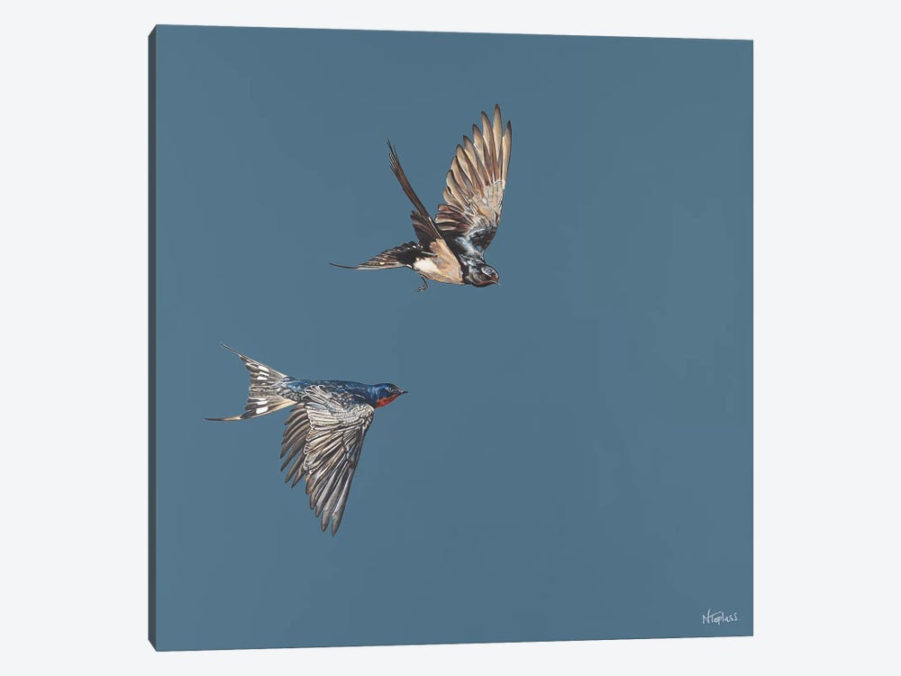 Soaring by Natalie Toplass 1-piece Canvas Print