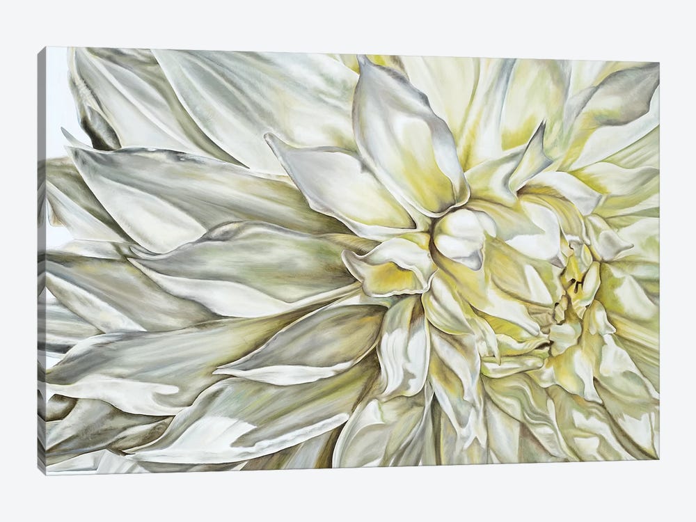 White Dahlia II by Natalie Toplass 1-piece Canvas Wall Art