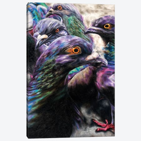 Wild Pigeons Canvas Print #TPL34} by Natalie Toplass Canvas Wall Art