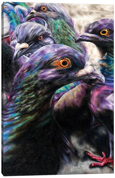 Wild Pigeons Canvas Art Print - Natalie Toplass