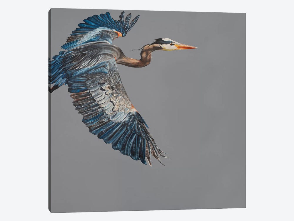 Blue Heron by Natalie Toplass 1-piece Art Print