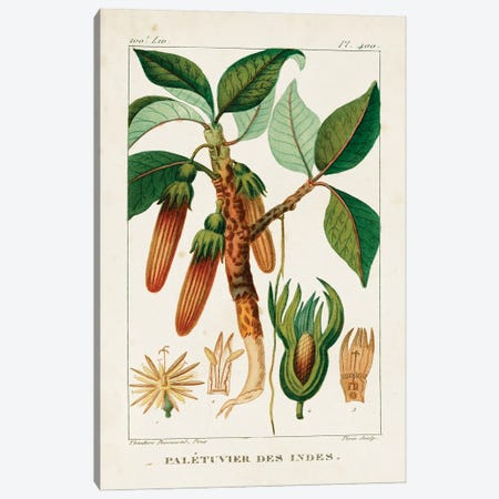 Turpin Foliage & Fruit I Canvas Print #TPN15} by Turpin Canvas Wall Art