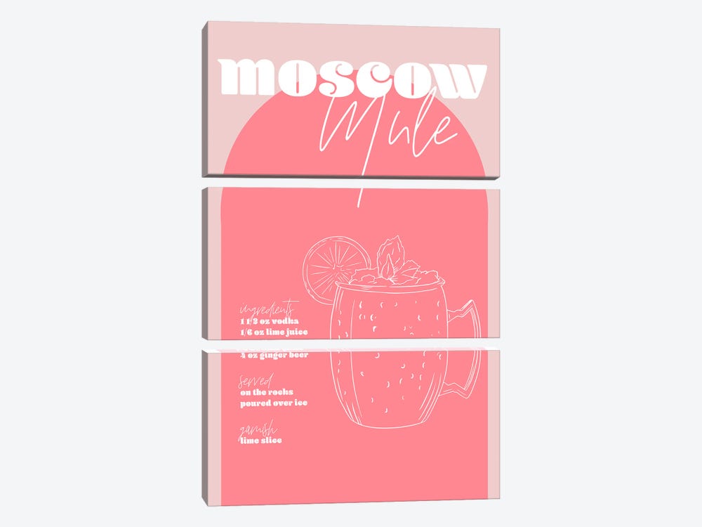 Vintage Retro Inspired Moscow Mule Recipe Pink And Dark Pink by Typologie Paper Co 3-piece Canvas Print