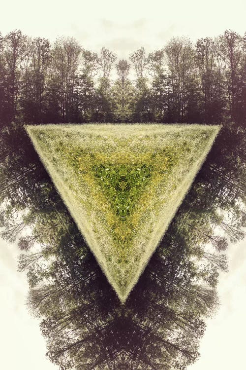 Field by 5by5collective wall art