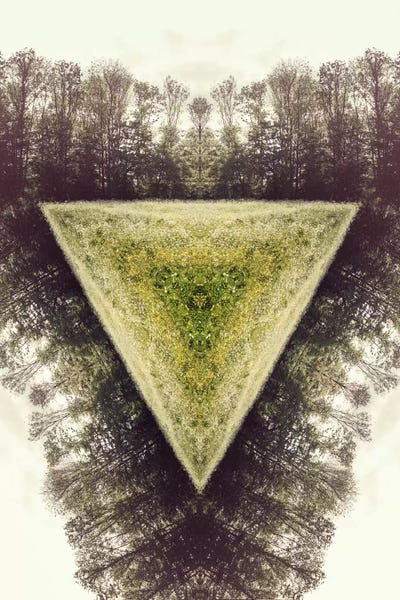 Forests: Field by 5by5collective