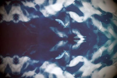 Pond by 5by5collective canvas print