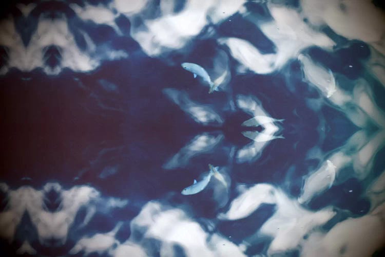 Pond by 5by5collective canvas print