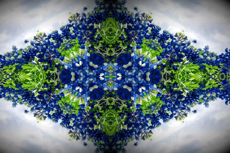 Lush by 5by5collective wall art