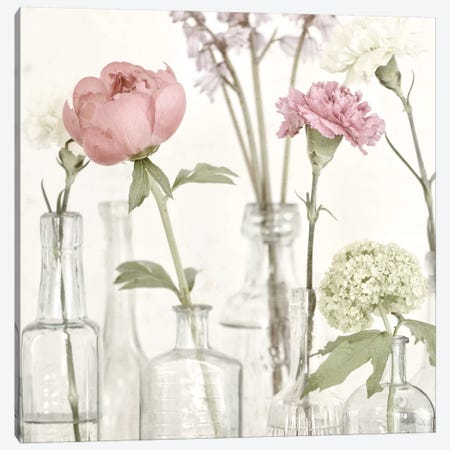 Flowers In Bottles Still Life Canvas Print #TQU108} by Tom Quartermaine Canvas Artwork
