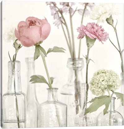 Flowers In Bottles Still Life Canvas Art Print - Carnations